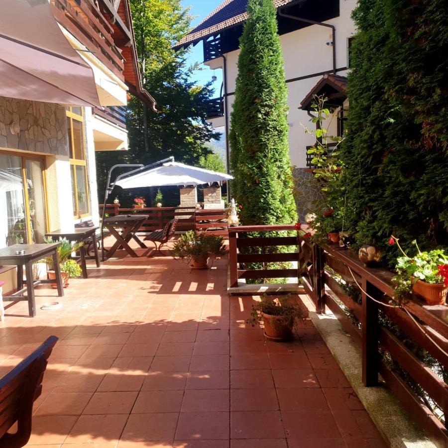 Pensiunea Eliza Sinaia Kamer foto