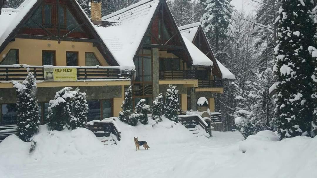 Pensiunea Eliza Sinaia Kamer foto