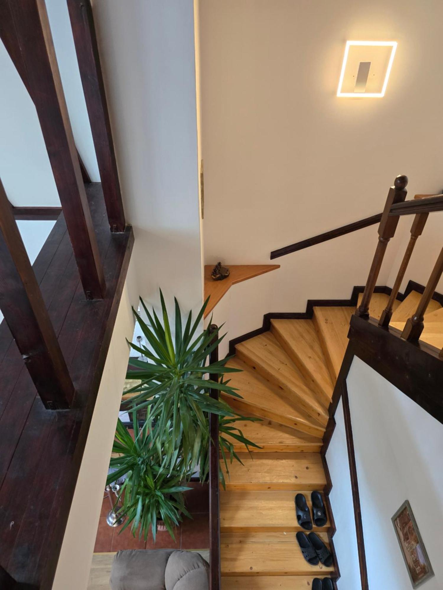 Pensiunea Eliza Sinaia Kamer foto