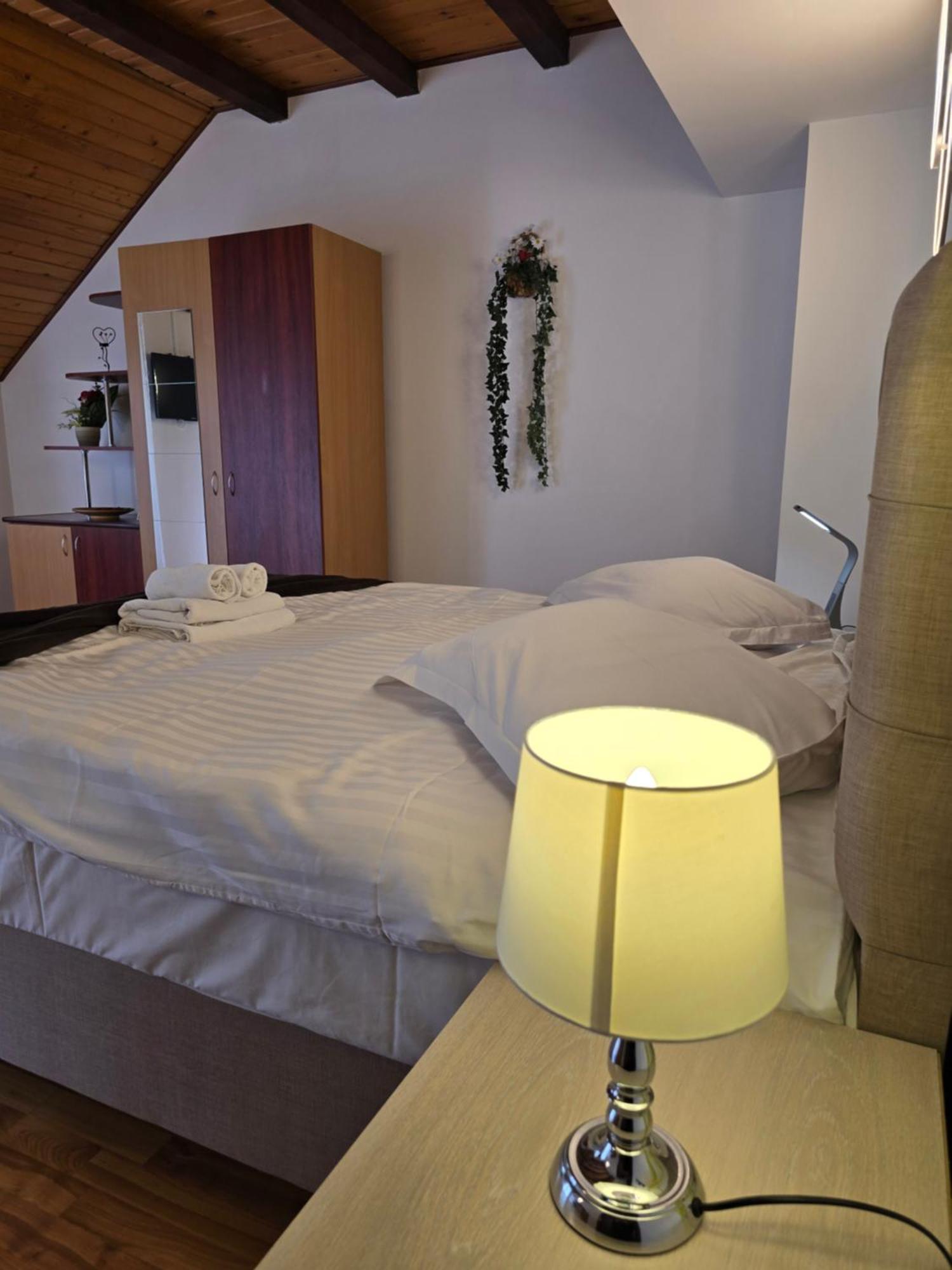 Pensiunea Eliza Sinaia Kamer foto